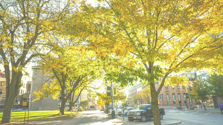 Iowa City Area, IA Real Estate Market Trends | Ruhl & Ruhl Realtors